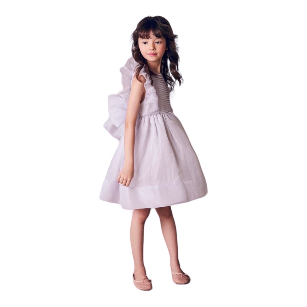 Nellystella Mae Dress Silk Tulle Organza Girls 6 Flower Girl Wedding Lilac